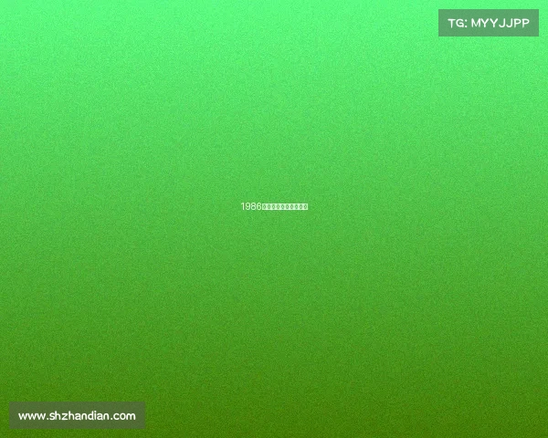 1986年电子竞技是哪个品牌